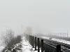 compressed_0494